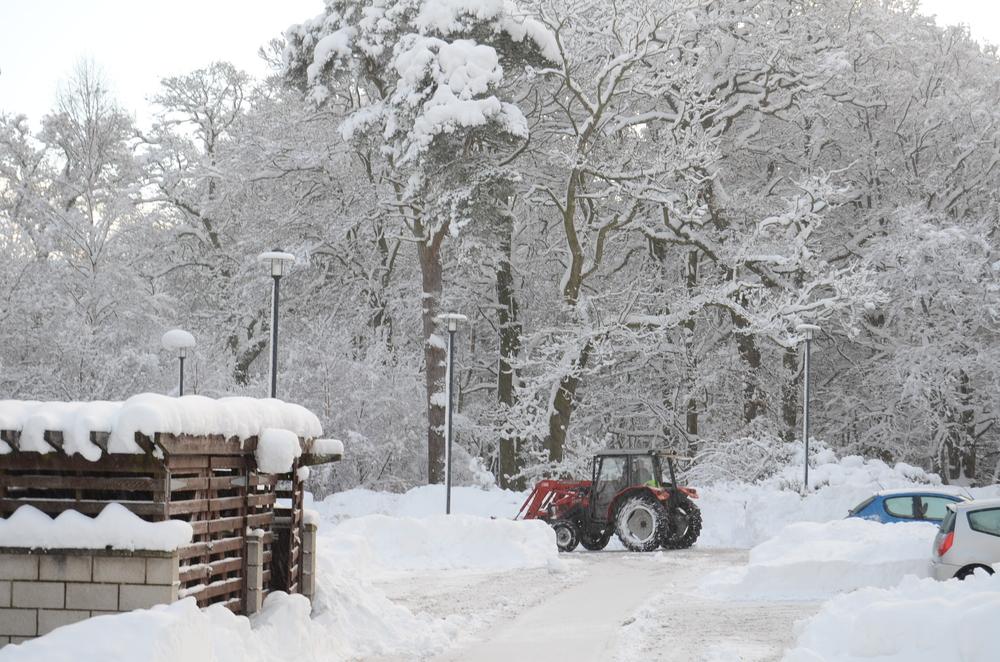 Do you remember the snow?