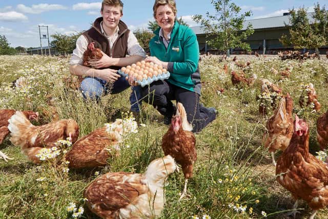Morrisons to sell only free-range eggs picture: supplied